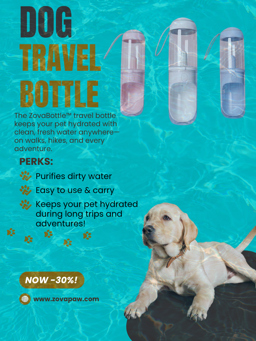 Dog drinking from portable bottle